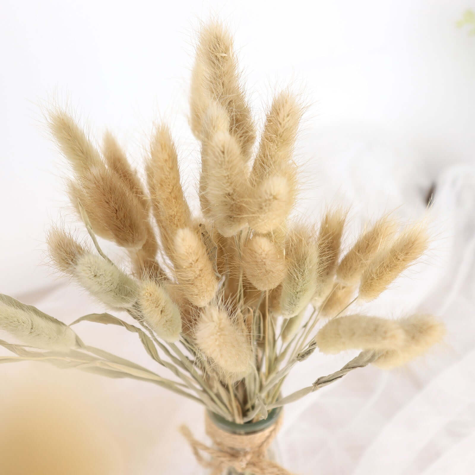 50-Pack Dried Bunny Tail Grass Natural - Rustic Chic Lagurus Ovatus Rabbit Tail Ornamental Grass for Modern Farmhouse Decor Event Styling & Floral Displays 15"