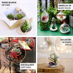 Glass Terrarium Hanging Bell Shaped Design with Twine Rope - Unique Free-Falling Planter for Air Plants & Displays 9"
