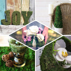 18"x16" Preserved Natural Moss Wall Sheet Roll, Moss Landscape Panel