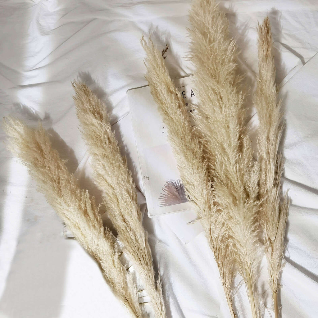 6 Stems Natural Dried Pampas Grass Decor Wheat Tint - Tall Plant Sprays for Boho Chic Vase Displays Backdrops & Event Styling 49"