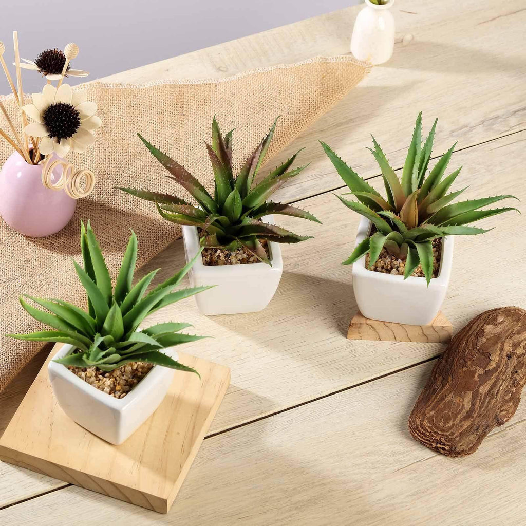 3-Pack Spotted Aloe Vera Artificial Succulents in Ceramic Pot - Lifelike Decorative Faux Plants for Home Office & Event Design 5"