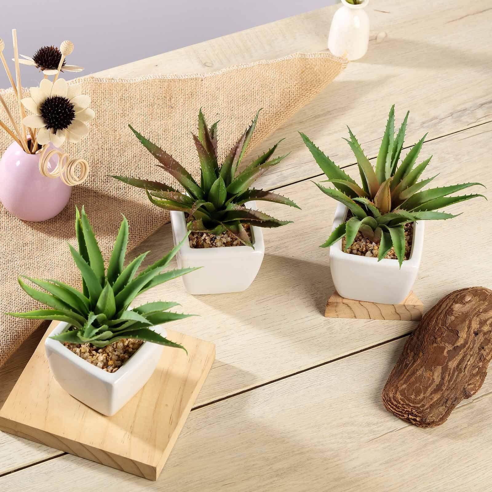 3-Pack Spotted Aloe Vera Artificial Succulents in Ceramic Pot - Lifelike Decorative Faux Plants for Home Office & Event Design 5"