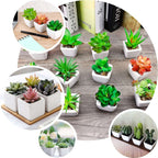 3-Pack Aloe Artificial Succulents in Ceramic Pot - Lifelike Decorative Faux Plants for Home Office & Event Design 5"