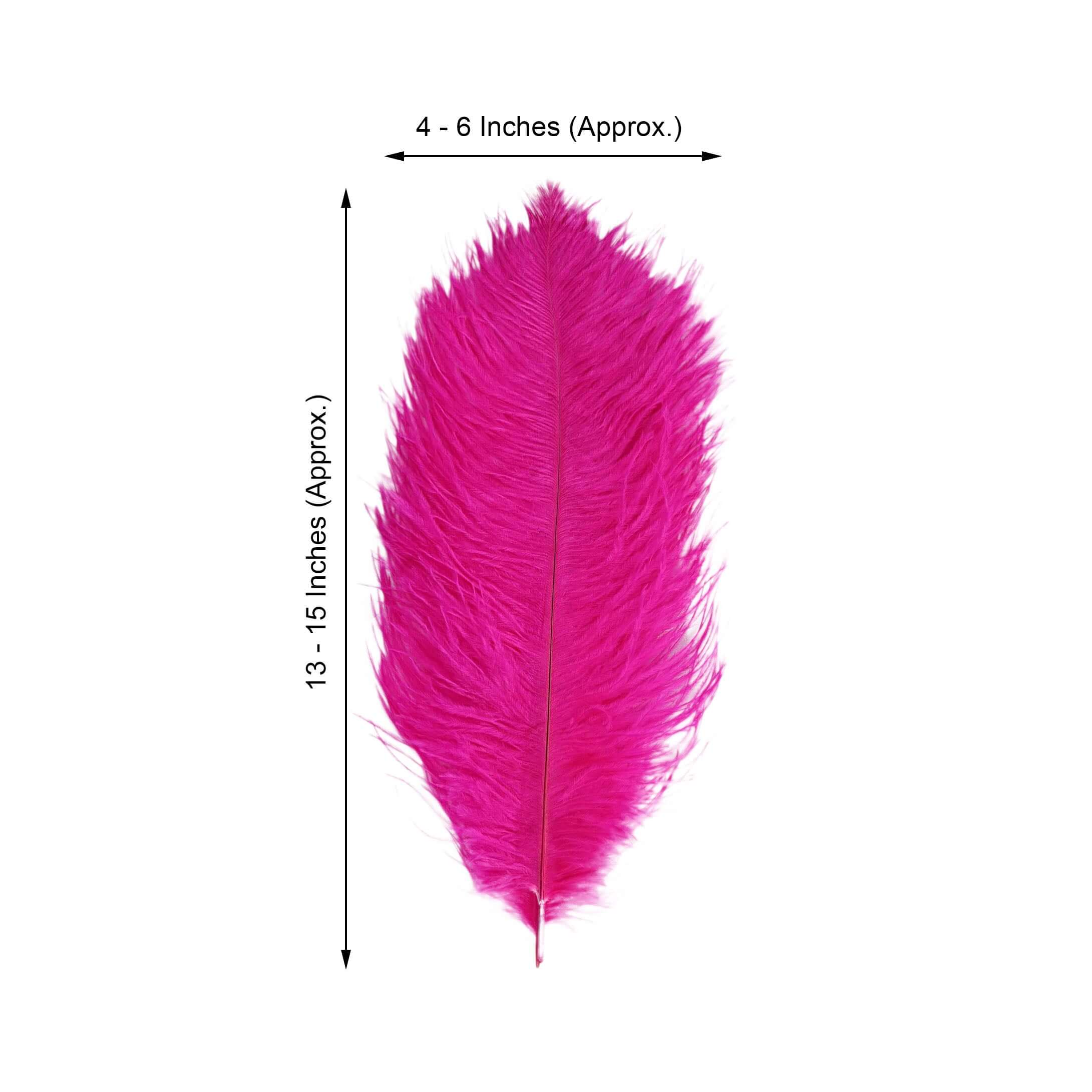 12 Pack 13"-15" Fuchsia Natural Plume Real Ostrich Feathers, DIY Centerpiece Fillers