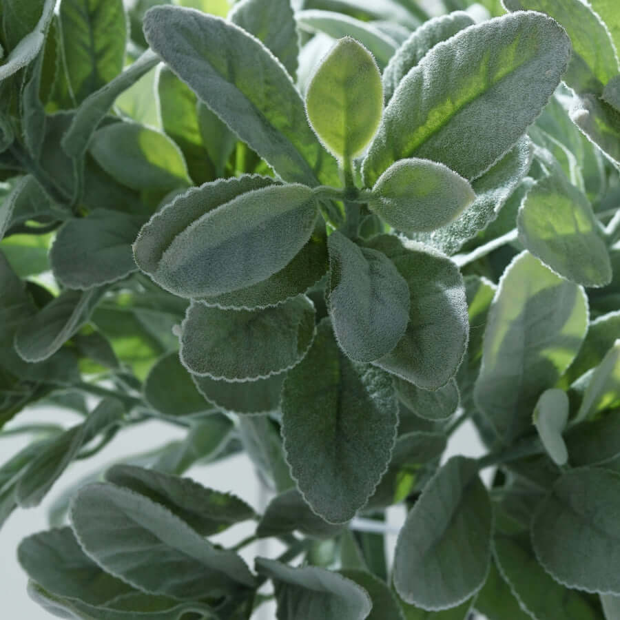 2 Stems 24" Tall Frosted Green Artificial Lambs Ear Leaf Indoor Plant