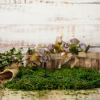 Reindeer Moss Grass DIY Craft Supplies Preserved Green - Decorative Moss for Projects 50g