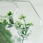 3-Pack Glass Wall Vase Hanging Rhombus Design Indoor Planters - Modern Wall Mounted Terrariums for Living Spaces