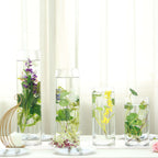 6-Pack Glass Flower Vases Cylinder Design Heavy Duty Clear - Stylish Centerpieces for Weddings 14"