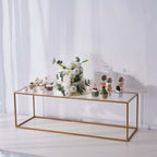 2-Pack Acrylic Plexiglass Sheets Rectangular Side Plates Clear - Protective Film Coating 40"x12"