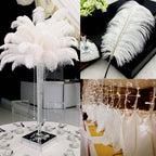 12 Pack 13"-15" White Natural Plume Real Ostrich Feathers, DIY Centerpiece Fillers