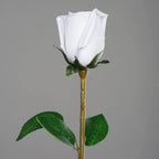 31" 24Pcs White Long Stem Artificial Silk Roses Flowers